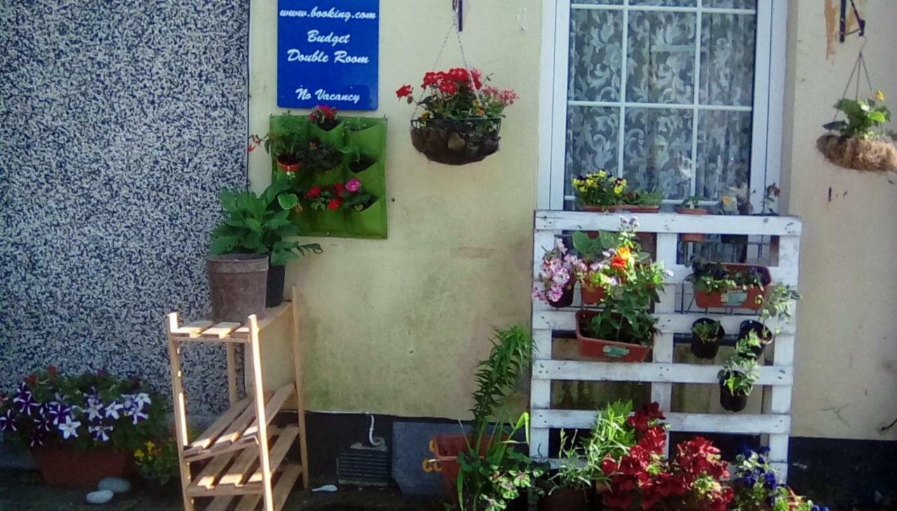 City Cottage Guest House 普里茅斯 外观 照片